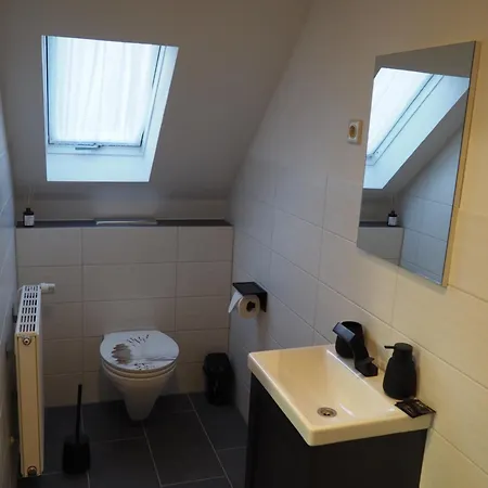 Maison d'hôtes Piroska Olbernhau